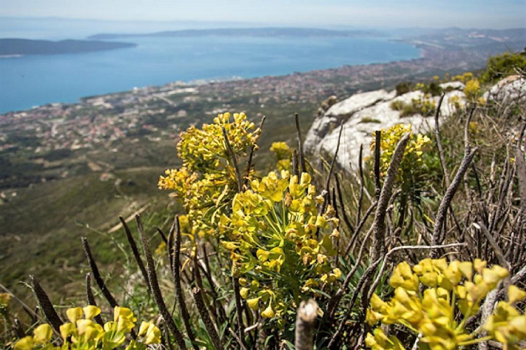 Apartmani Strada Kaštela Exteriör bild